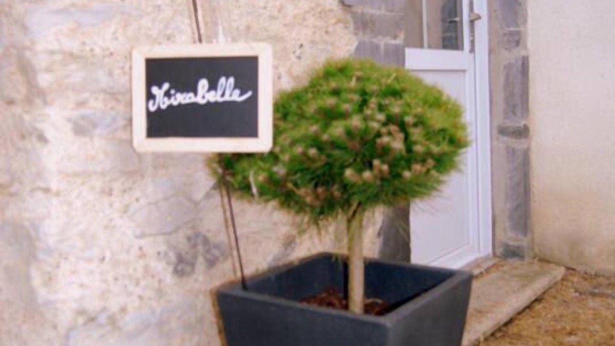 Pannece Cottage | Cottage "MIRABELLE" in the countryside with swimming pool