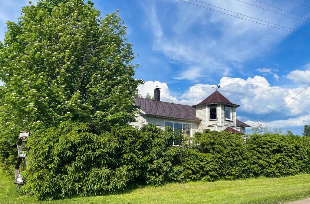 Salmi House | Cottage Novak