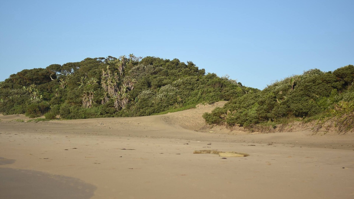 Kentani Cottage | Cottage 'On the Beach'.watch the waves.from your bed!