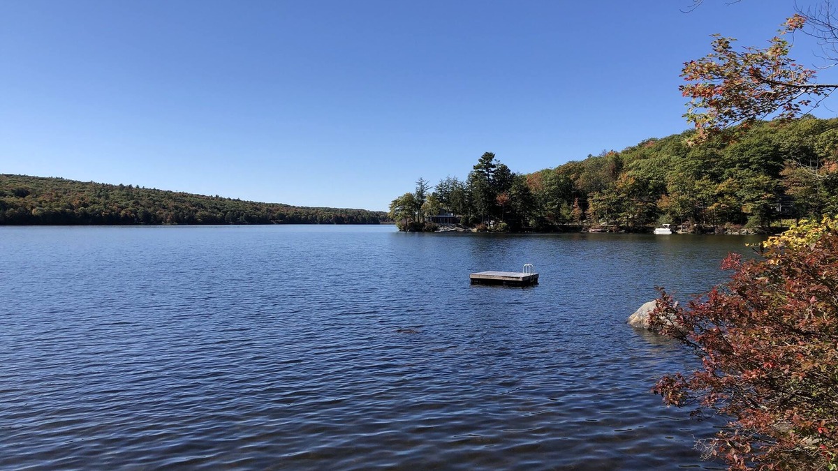 Harrisville Cottage | Cottage on the lake-you can't get any closer!