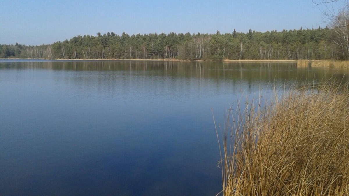 Neubau House | Cottage on the lake with beach in the system, 4 persons