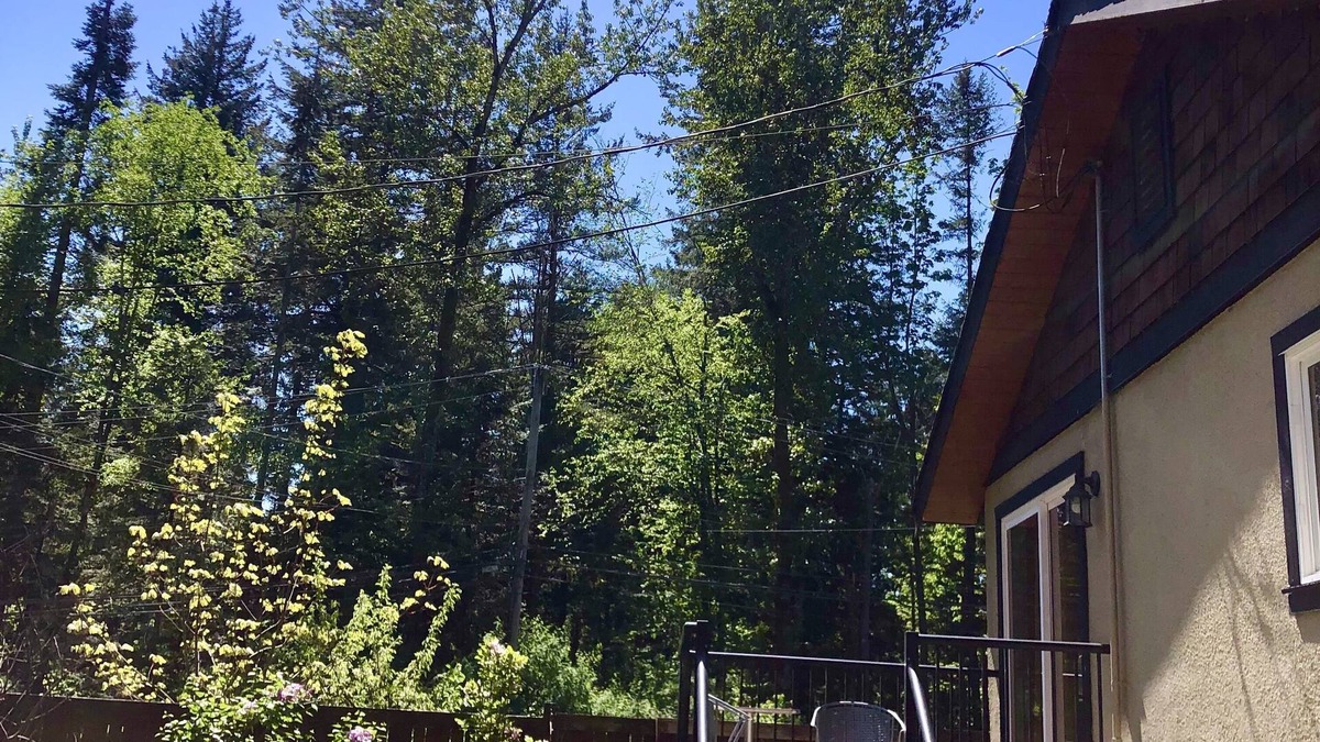 Harrison Mills Cottage | Cottage Surrounded by Water and Mountains