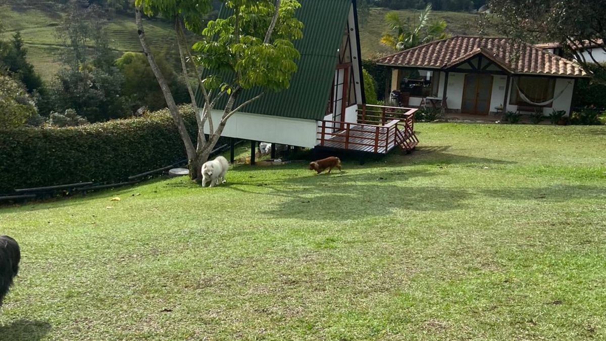 Rionegro Cabin | Cottage surrounded by nature, an ideal place to rest and enjoy with your partner.