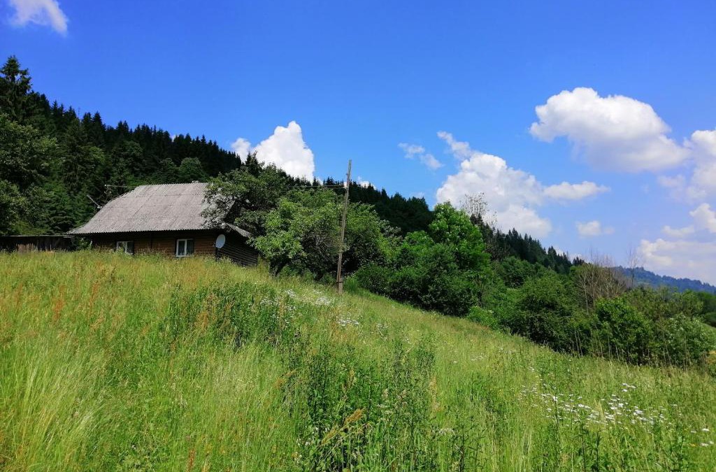 Soymy Apartment | Cottage Svitanok