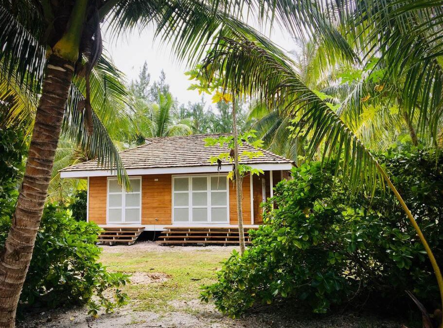 Temae House | Cottage « the papaya tree »