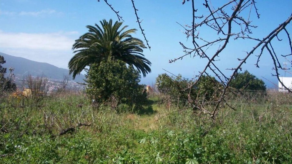 Montijos House | Cottage with private swimming pool from August 5 to August 15