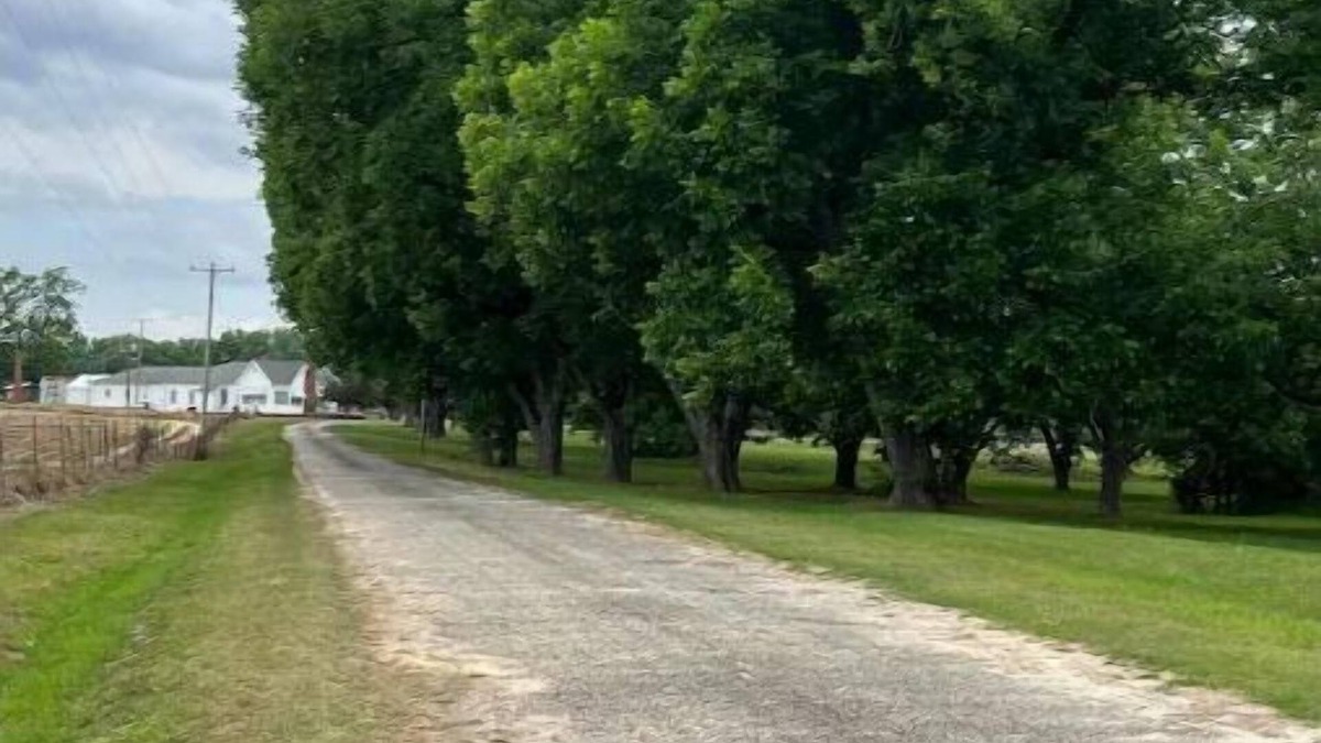 Sylvester House | Cotton Top Farm