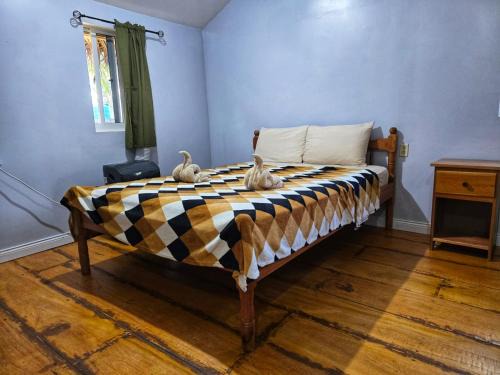 Hopkins Apartment | Cotton Tree Cabin at Freshwater Creek Cabanas