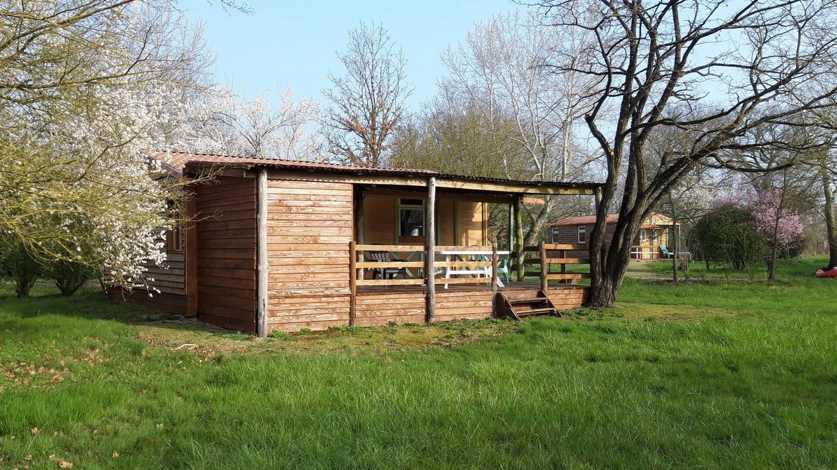 Gourge Ski Chalet | Country chalet 9 people: ponies, swimming pool, mini-golf & Puy du Fou