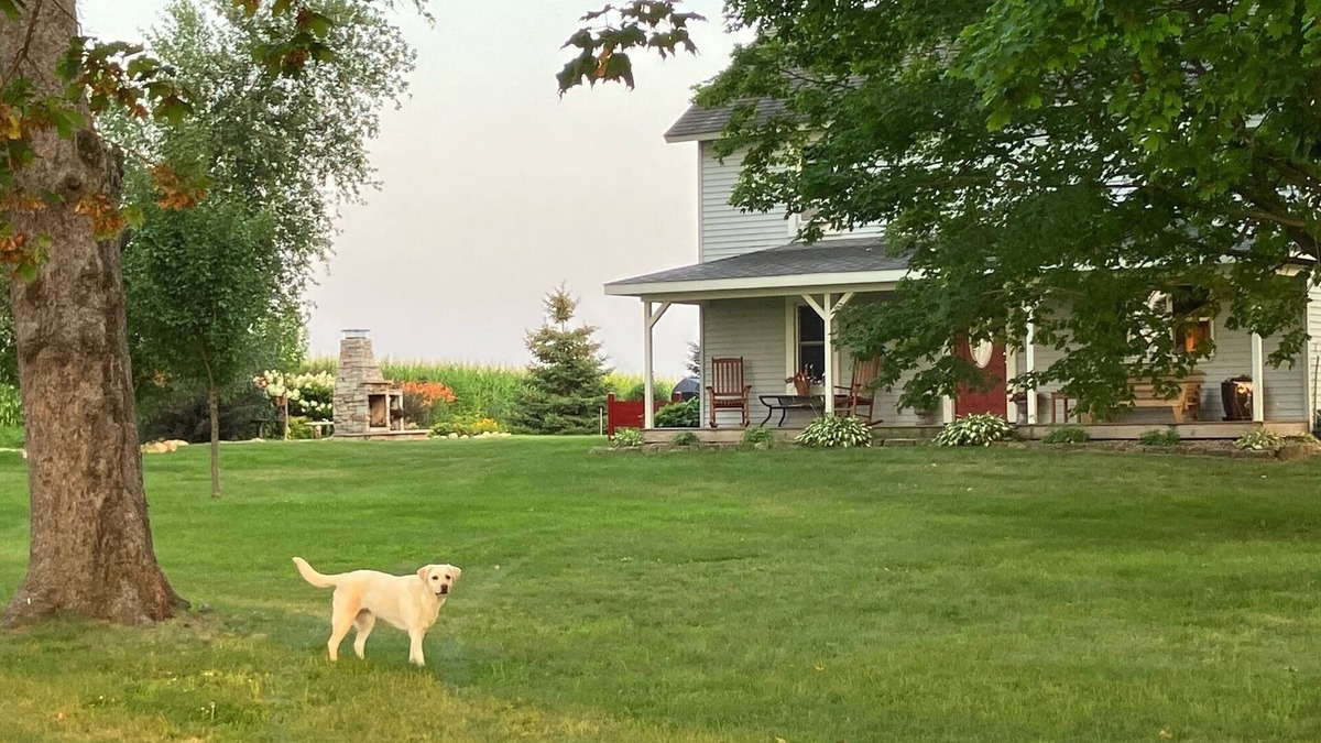 Rushford Other | Country Chic, Hovde Home at Labrador Farm