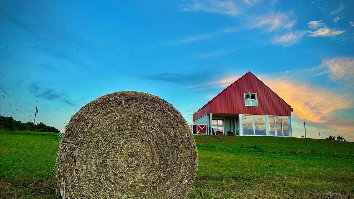 Park Corner Cottage | Country cottage, exceptional view, lake, dunes and sea. 5 minutes from the beach