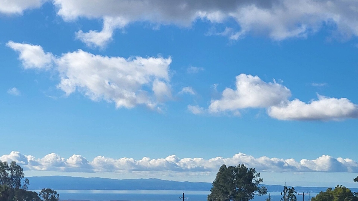 Castro Valley House | Country Cottage in the w Gorgeous San Francisco Bay Area Views on 2acres!