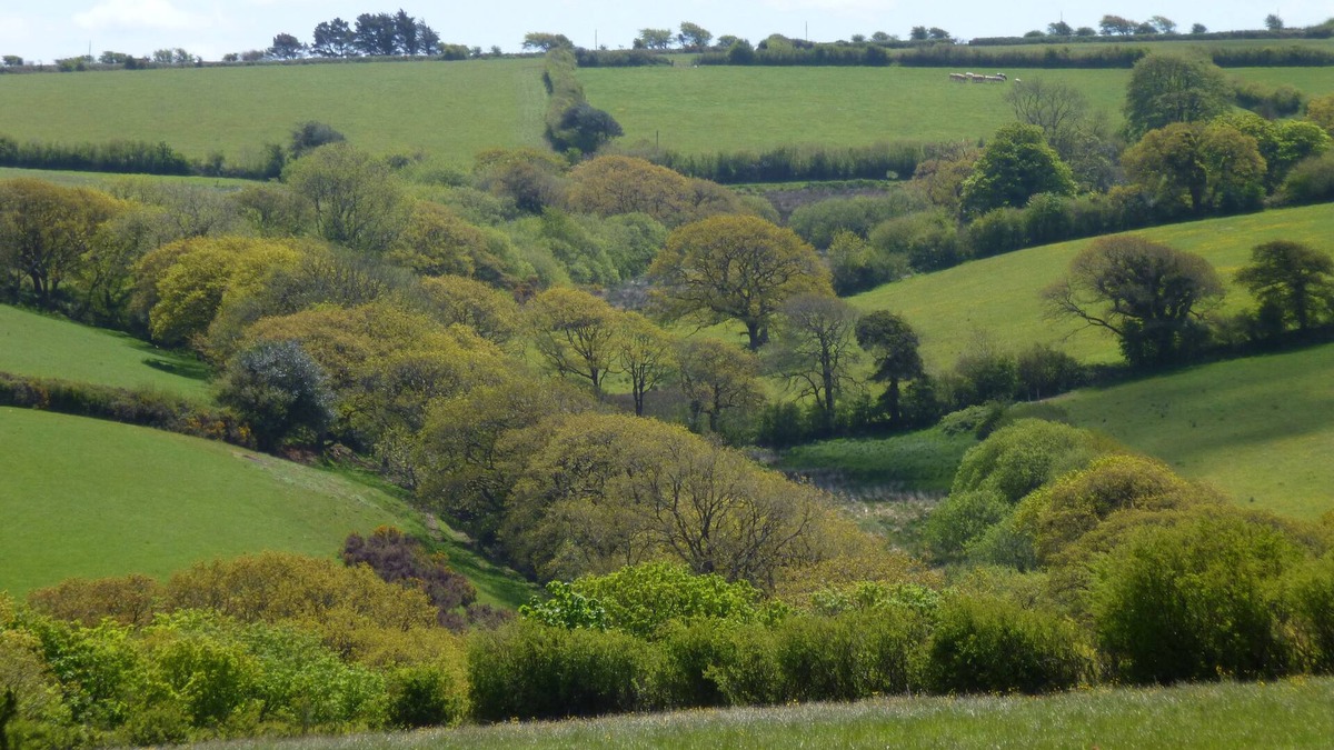 Brazzacott Cottage | Country cottage near Boscastle, Situated amid the beautiful Cornish Countryside