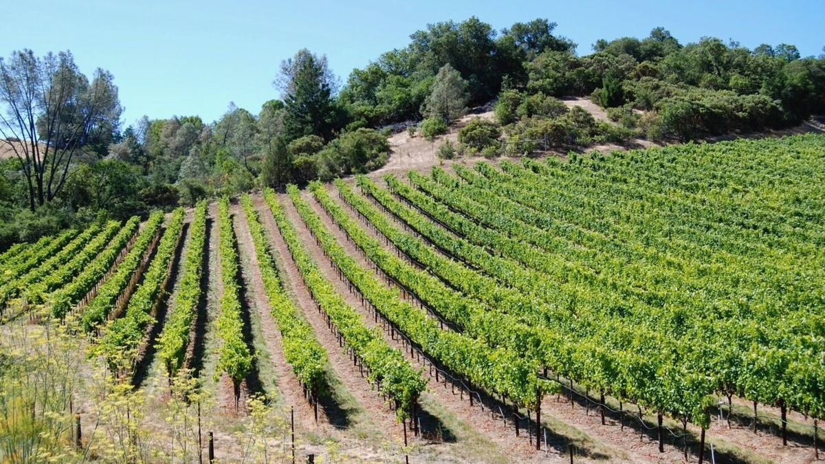 Cloverdale Cottage | Country Cottage on a beautiful Winecountry Vineyard