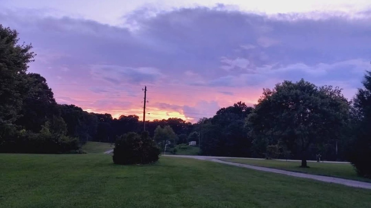 Jackson Apartment | Country Cozy apartment cabin 3 minutes from Jackson baseball fields