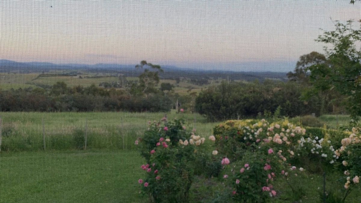 Doreen Other | Country Escape