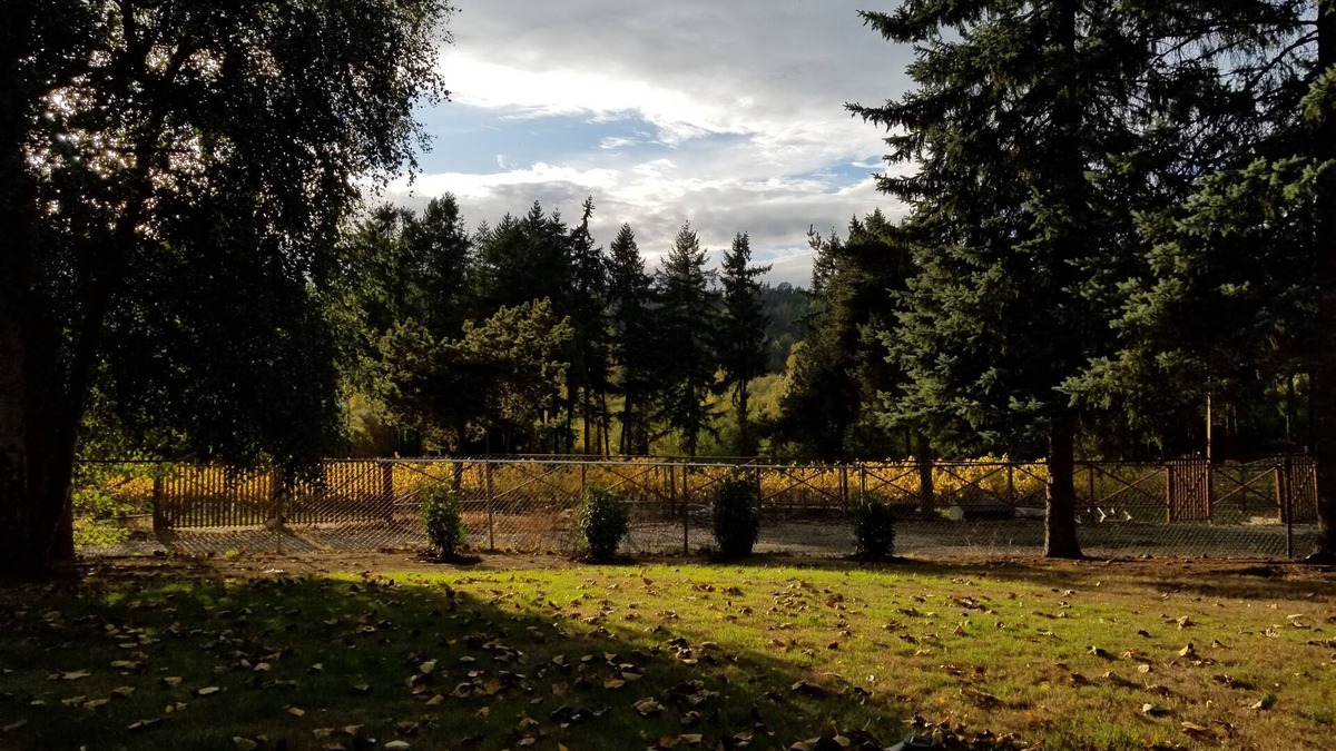 Federal Way House | Country feel, w/all amenities, close to winery, restaurants, shops, & freeway!