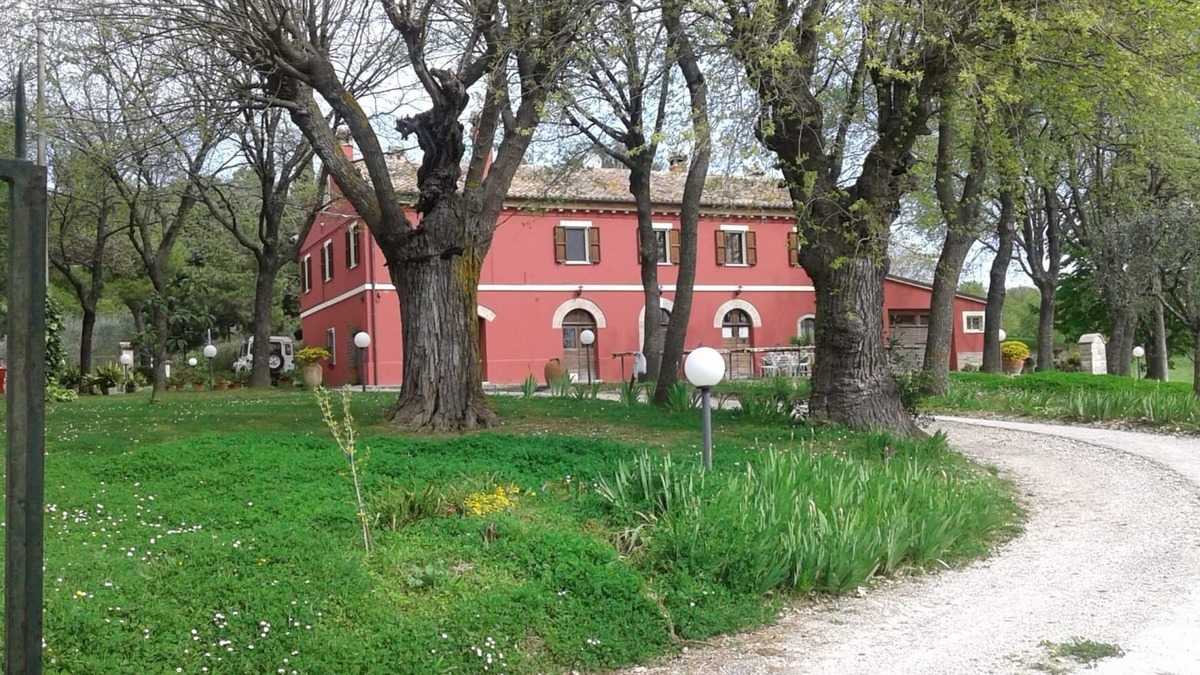 Serrungarina Other | country holiday home - Serrungarina