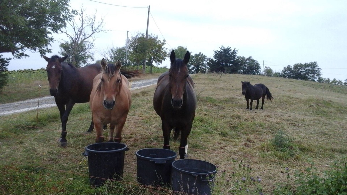 Montbernard House | Country holidays at Gites Soulanserre
