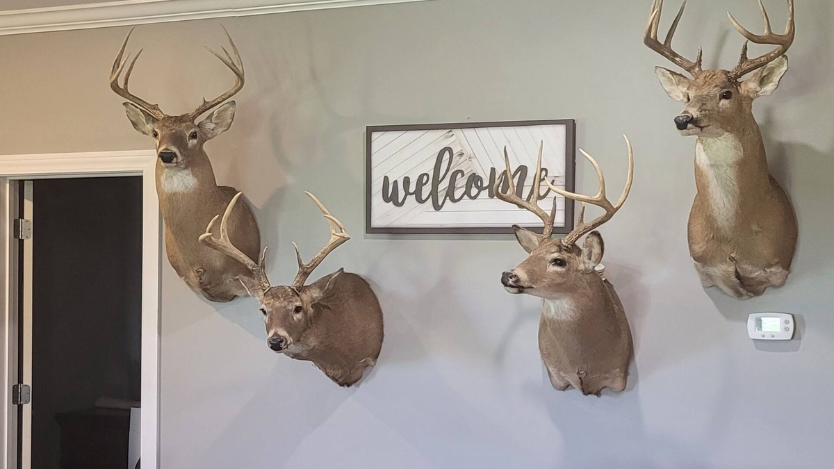 Morganfield House | Country home getaway; great for nature lovers!