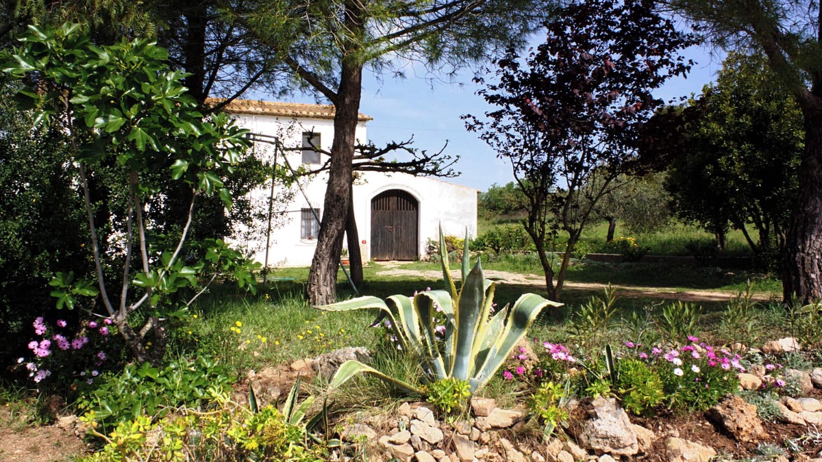 San Martin Sarroca Cottage | Country house surrounded by vineyards.