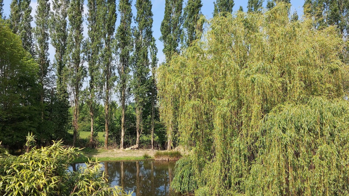 Beaulieu-sur-Oudon House | Country house with pond