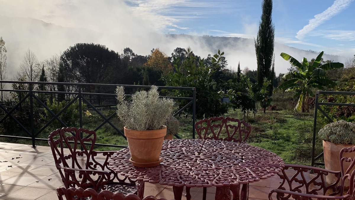 Varzea da Ovelha e Aliviada Other | Country house, Amarante