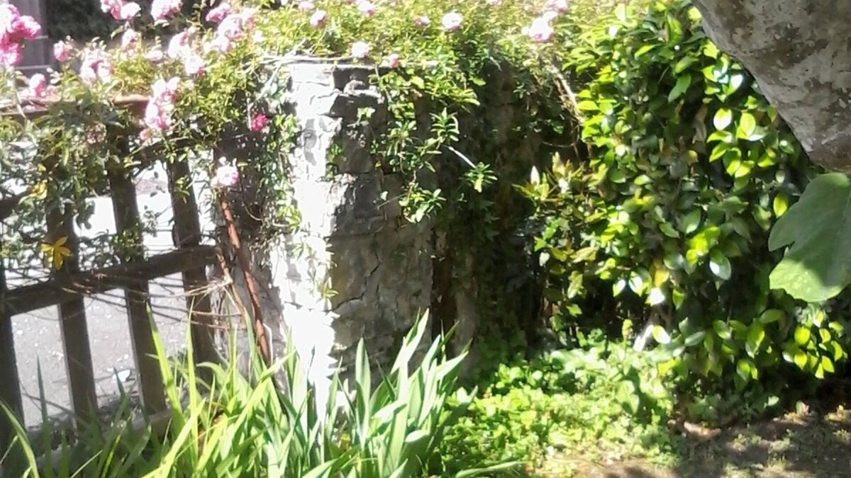 Bassussarry House | Country house 5km from biarritz