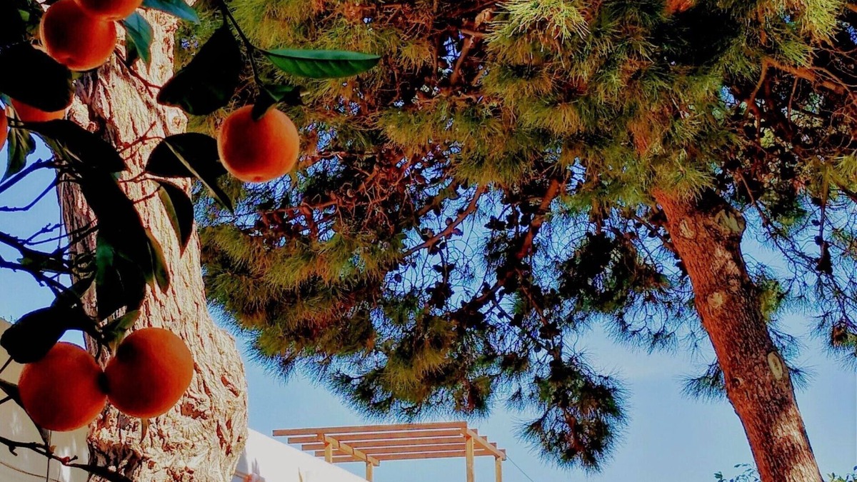 Patti Other | Country house flair with island views in Mongiove (Patti)