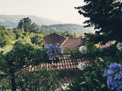 Guilhofrei House | Country House - Hippie Garden