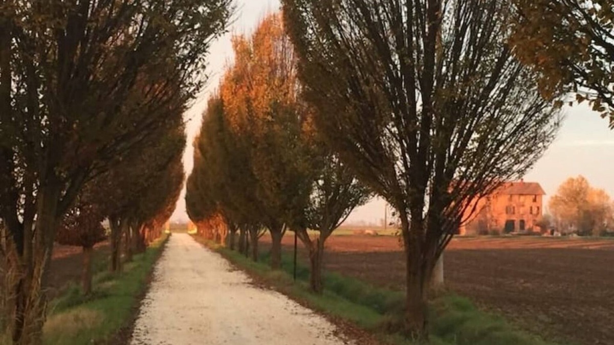 Sant'Agata Bolognese House | Country house Il Giuggiolo, relaxation in the Motor Valley