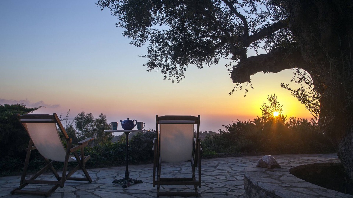 Lepreo Cottage | Country House in olive grove with stunning sea views