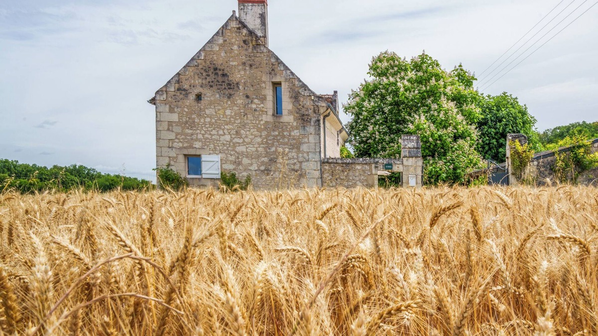 Crouzilles Cottage | Country House in Southern Touraine with Swimming Pool for 8 Peoplen