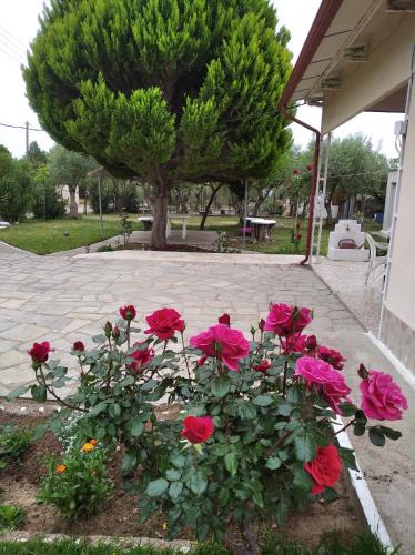 Kalyves Polygyrou House | Country House Kalyves, 2 bedrooms, sleeps 6, 700sqmgarden, 180m from beach