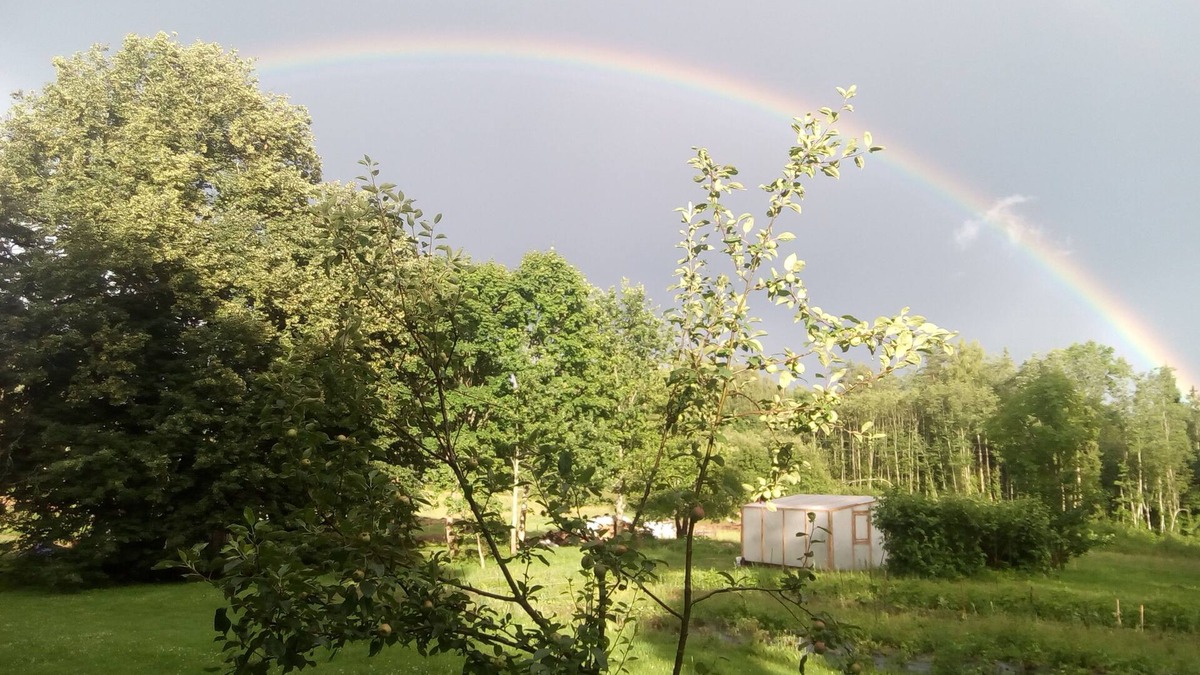 Straupe House | Country House- peace and beautifull place for people who love country
