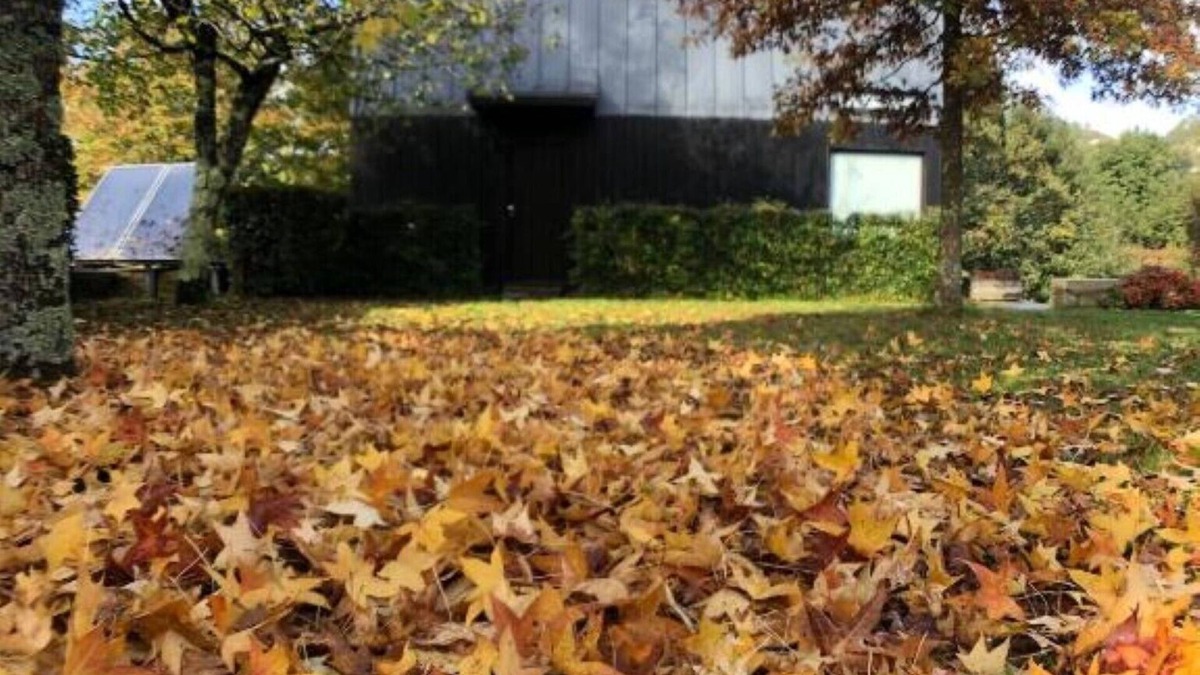 Monserrate Cottage | Country house Lamosa - Geres