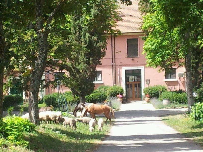 Atella House | Country House Villa delle Rose Agriturismo