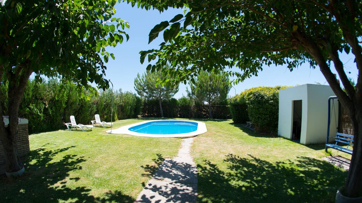 Utrera House | Country house /Villa in olive farm (Utrera)