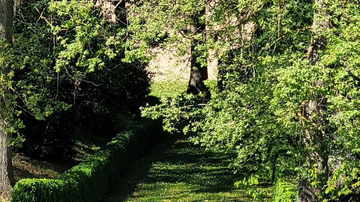Fenouillet-du-Razes House | Country house with swimming pool and view of the Pyrenees
