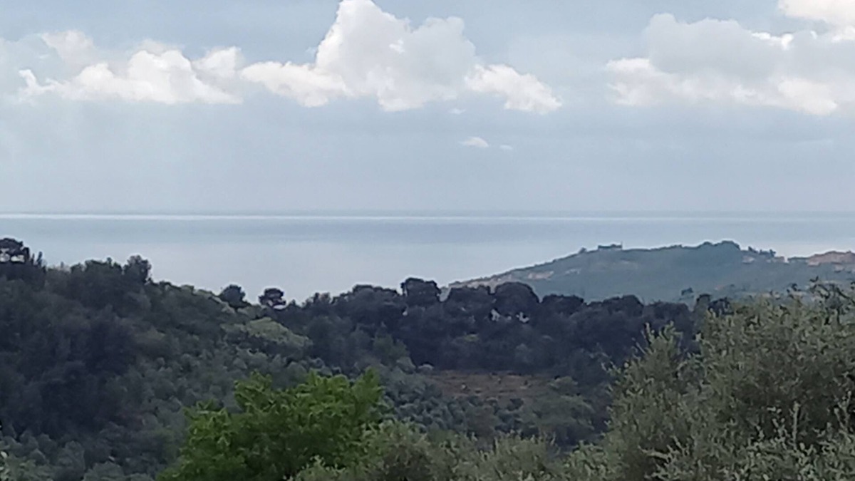 Imperia House | country house with sea view in secular olive grove