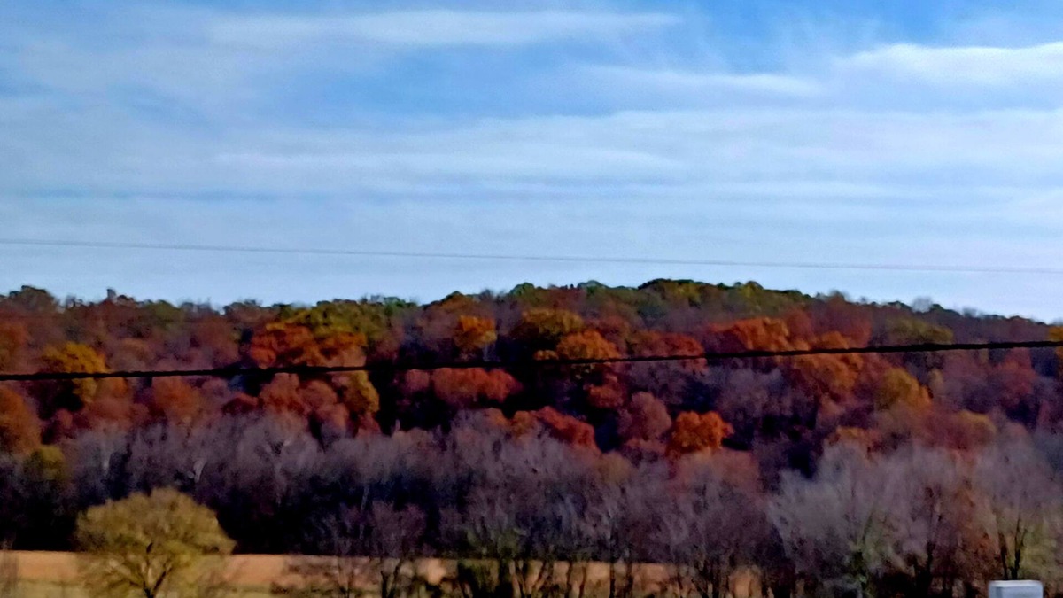 Claremore Cottage | Country Inn Cottage & Farm. Private cottage with three personal suites.