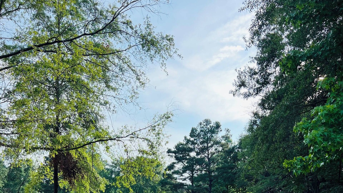 Grady RV Rental | Country Peace Boondocking
