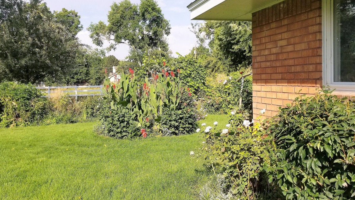West Valley House | Country Quiet, City Close