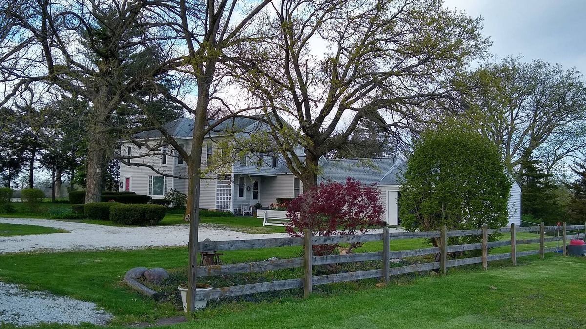 Claytonville House | Country Retreat - Forest stroll, pond + wildlife