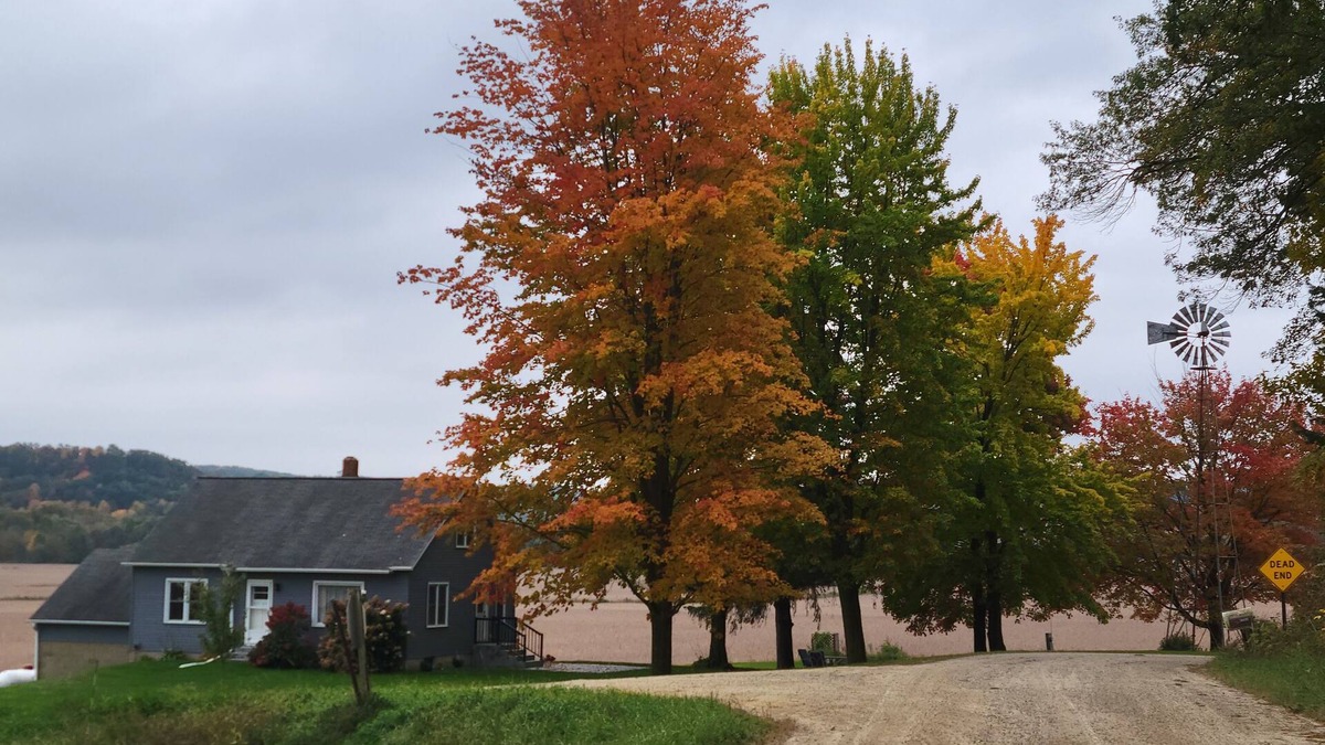 Mauston Other | Country Serenity at The Resting Windmill