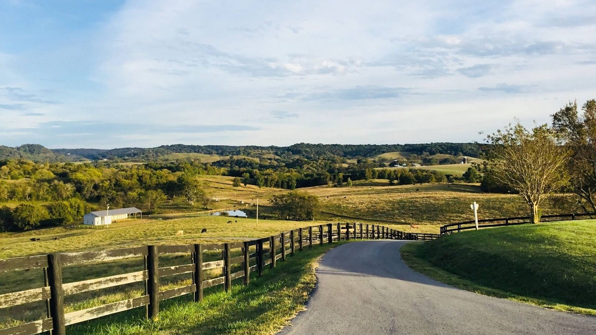 Wartrace House | Country setting with spectacular views