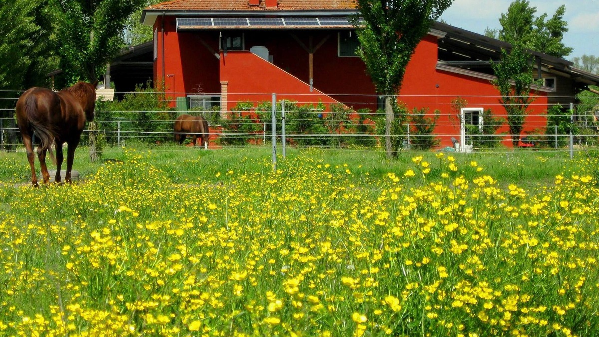Badia Polesine Other | Country style apartments in Farmhouse