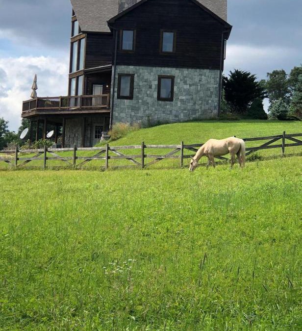 Laurel Fork Ski Chalet | Country vacation home