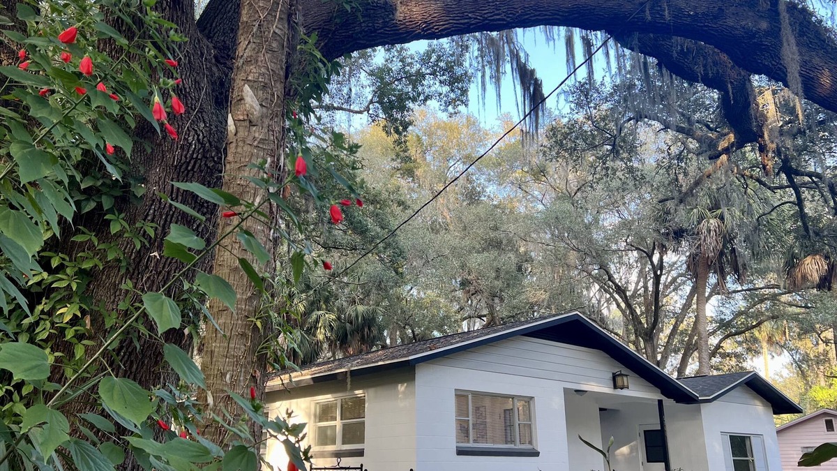 Micanopy House | Country Welcome- Located near Gainesville, FL