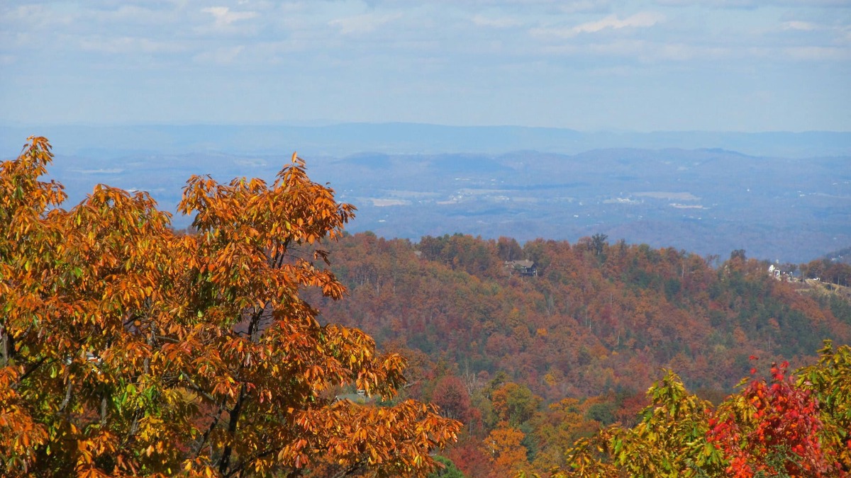 Chalet Village Cabin | Couples’ Mt Paradise; Allergen-Free;Borders GSMNP;Seasonal Views;Owner Operated